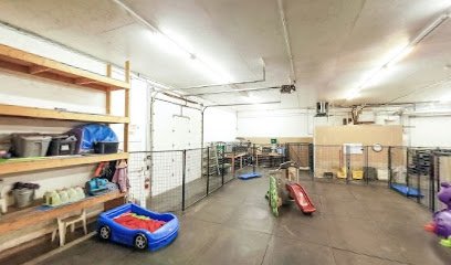 Dawg Zone Dog Day Care