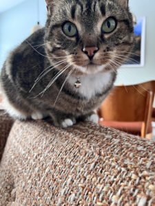 Malcolm & Mutts Educational Pet Sitting