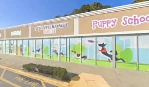 Next Level Kennels Oxford