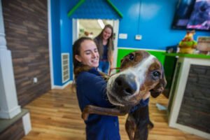 Hounds Town – Morrisville