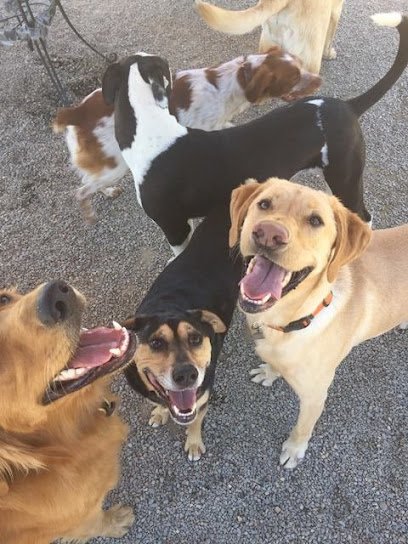 Happy Tails Country Club East
