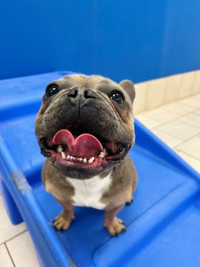 Hounds Town Dayton – Kettering