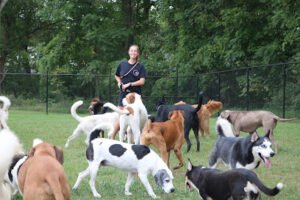 F.I.D.O. Finishing Institute For Dog Ownership