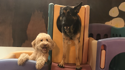 A Dogs Life Daycare and Boarding