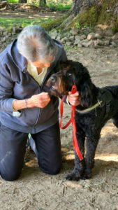 Joyful Noise Dog Boarding