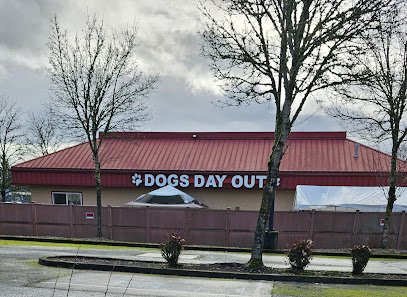 Dogs Day Out