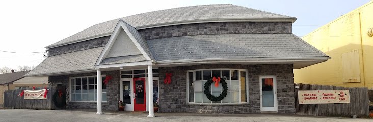 The Ruff House Dog Center Ltd.