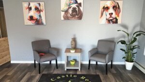 Pet Castle Resort