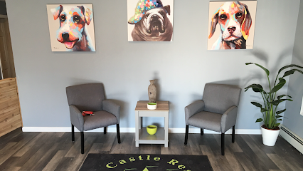 Pet Castle Resort