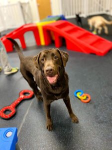 Out of the Crate