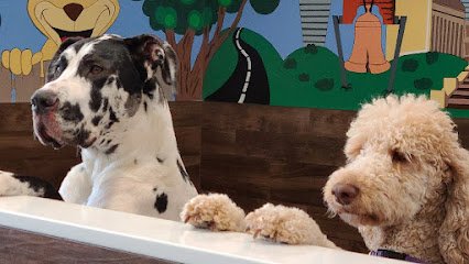 Doggie V.I.P. PHILLY