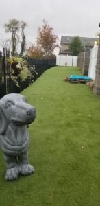 Woofles Premier Pet Resort