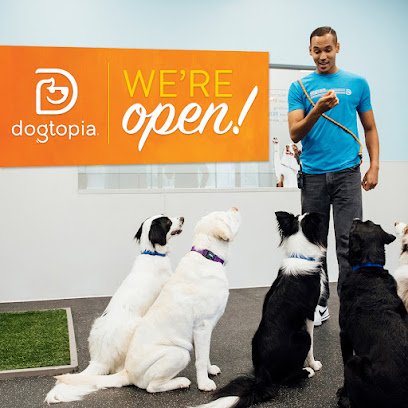Dogtopia of Cranberry