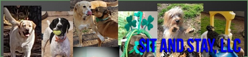 Sit and Stay, LLC
