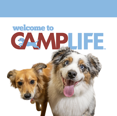 Camp Bow Wow Stone Oak