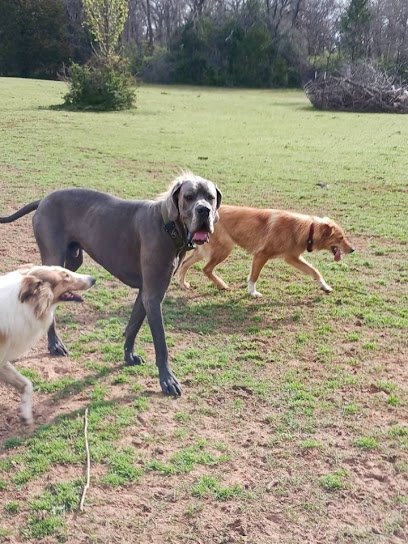Lucky Dog Ranch
