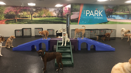 Dogtopia of Plano