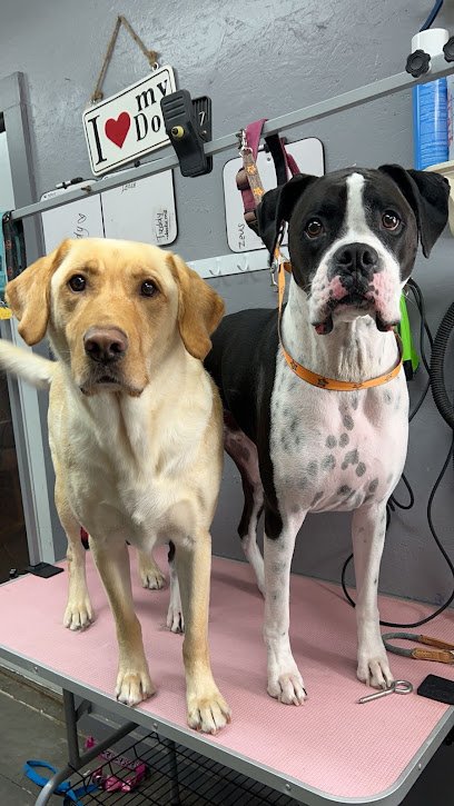 Titan’s Doggy Daycare