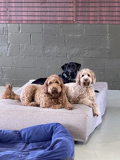 Dude‚Äôs Dog House & Spa