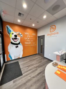 Dogtopia of Seattle – Roosevelt Square