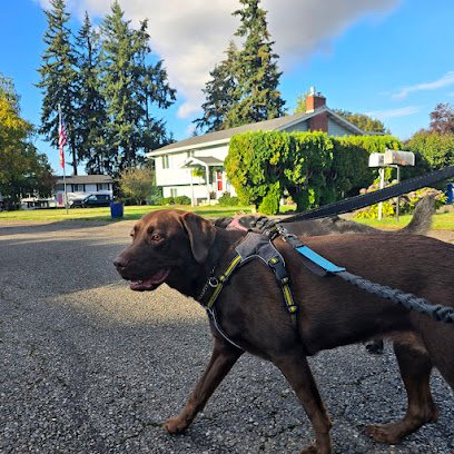Connie’s Cottage Dog Care