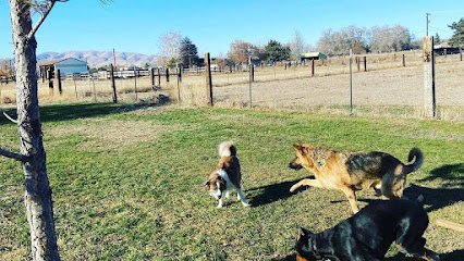 Black Hound Ranch LLC