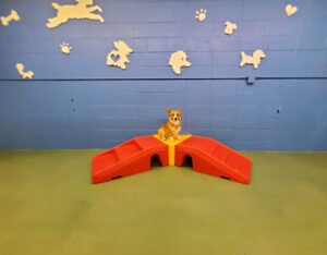 Rruff House