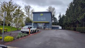 Paws n Pals Doggy Daycare