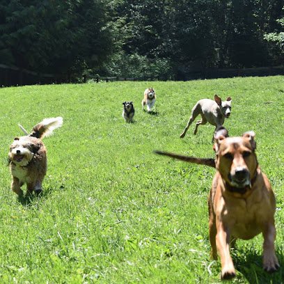Dog Works Ranch, LLC