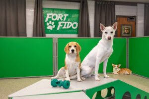 Fort Fido