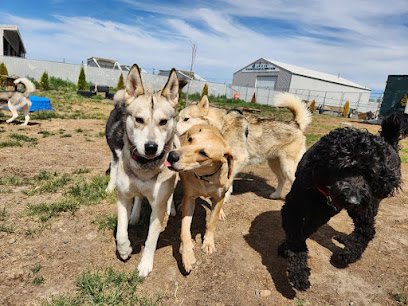 Beck ‘n Call Pet Care & The Pet Shop