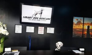 Smart Dog Daycare, LLC