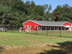 Hidden Acres Dog Lodge