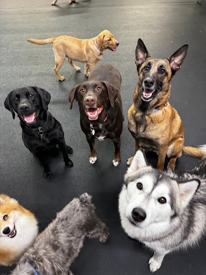 School of Bark