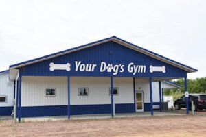 Your Dog’s Gym