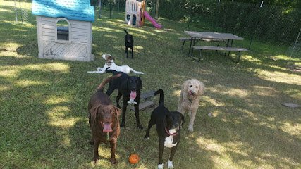 Pawsawhile Doggy Daycare