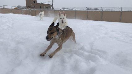 TailWaggers Doggy Daycare Neenah