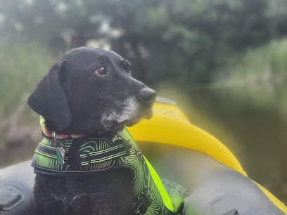 Barkin’ Up Hickory