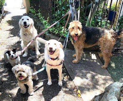 Simply Dog Walk