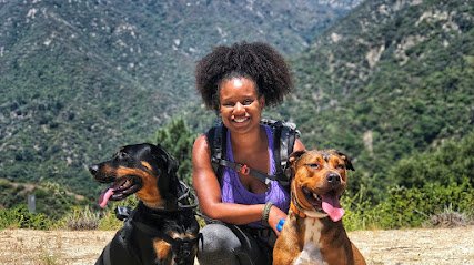 Paw Treks