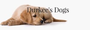 Durkee’s Dogs