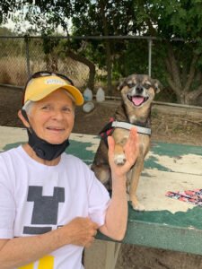 Dog Walks ‘N More, LLC