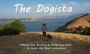 The Dogista, LLC