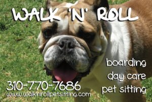 Walk N Roll Pet Sitting and Dog Walking