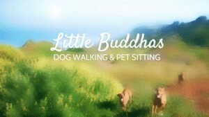 Little Buddhas Dog Walking & Pet Sitting