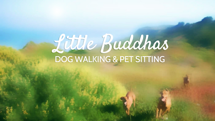Little Buddhas Dog Walking & Pet Sitting