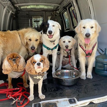 Who Let the Dogs Out!