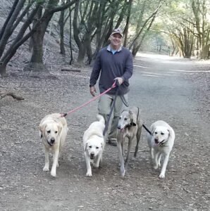 Pet Sitting Professionals