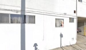 Dog Walking Toluca Lake, Burbank – Cpmpassionate, Patient, and Reliable,