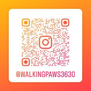 Walking Paws